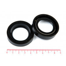 Сальник (манжета армированная) 1.2-28х47х10 ГОСТ 8752-79